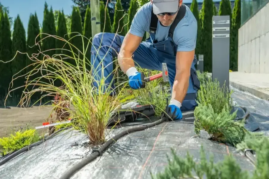 Benefits Of Regular Maintenance Through Landscaping Services in Hightstown, NJ Benefits Of Regular Maintenance Through Landscaping Services in Hightstown, NJ