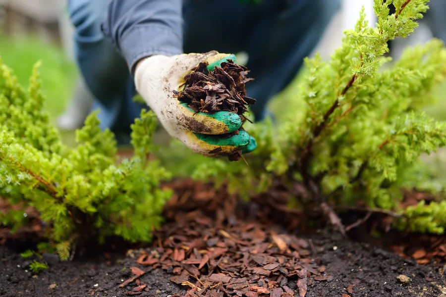 Mulching Benefits For Construction Site Stability in Hightstown, NJ Mulching Benefits For Construction Site Stability in Hightstown, NJ