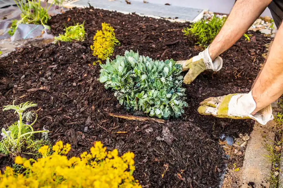 Premium Mulching Hightstown, NJ Premium Mulching Hightstown, NJ
