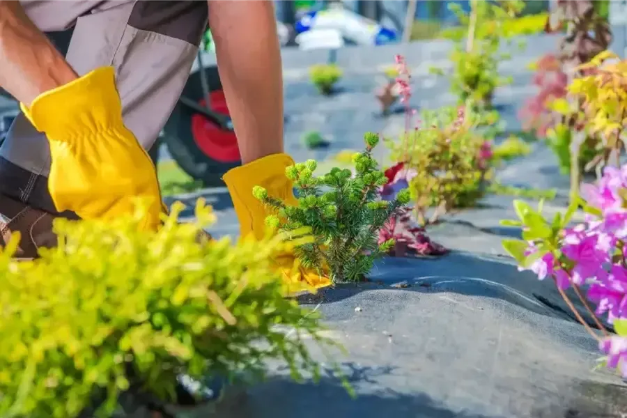 Professional Landscaping Services Hightstown, NJ Professional Landscaping Services Hightstown, NJ