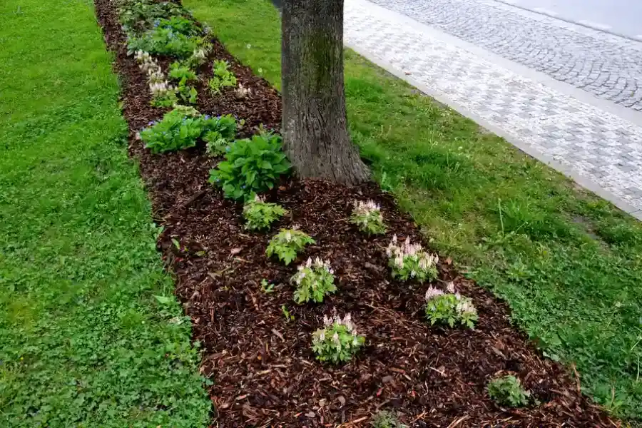 Reliable Mulching Hightstown, NJ Reliable Mulching Hightstown, NJ