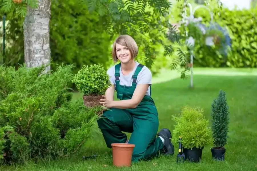 The Role Of Seasonal Care In Long-term Landscaping Success Hightstown, NJ The Role Of Seasonal Care In Long-term Landscaping Success Hightstown, NJ