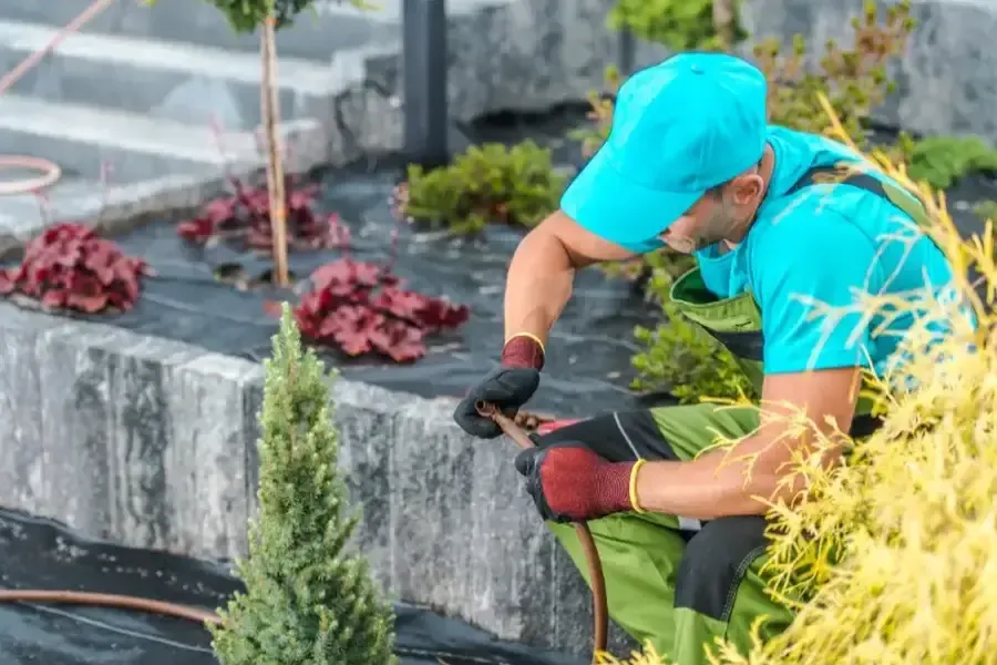 Top-rated Landscaping Services Hightstown, NJ Top-rated Landscaping Services Hightstown, NJ